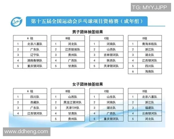 武汉网球队全运会耐力表现分析与未来展望 武汉网球队全运会耐力表现分析与未来展望